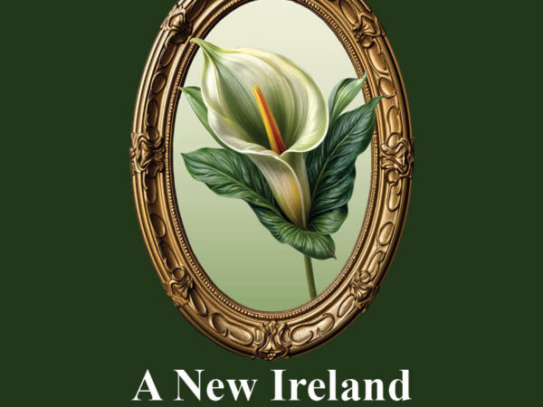 A New Ireland Blueprint Hard-Copy